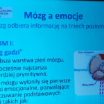 Sieć współpracy i doskonalenia 18-19 lutego 2021