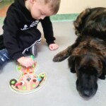 Za Życiem - dogoterapia