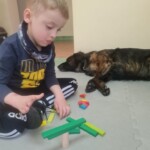 Za Życiem - dogoterapia