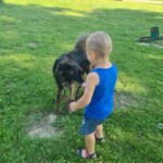 Za Życiem - dogoterapia