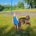 Za Życiem - dogoterapia