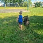 Za Życiem - dogoterapia