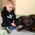 Za Życiem - dogoterapia