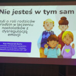 dezINTEGRACJA 3.0