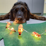 program kompleksowego wsparcia dla rodzin „Za życiem” na lata 2022 – 2026 PRIORYTET II. WCZESNE WSPOMAGANIE ROZWOJU DZIECKA I JEGO RODZINY Działanie 2.4. Wieloaspektowa i kompleksowa pomoc niepełnosprawnemu dziecku w okresie od 0. roku życia do rozpoczęcia nauki w szkole oraz jego rodzinie