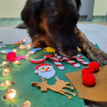 program kompleksowego wsparcia dla rodzin „Za życiem” na lata 2022 – 2026 PRIORYTET II. WCZESNE WSPOMAGANIE ROZWOJU DZIECKA I JEGO RODZINY Działanie 2.4. Wieloaspektowa i kompleksowa pomoc niepełnosprawnemu dziecku w okresie od 0. roku życia do rozpoczęcia nauki w szkole oraz jego rodzinie