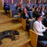 22 listopada 2024 r. Poradnia Psychologiczno-Pedagogiczna w Tarnowie świętowała Jubileusz 50-lecia! 22 listopada 2024 r. Poradnia Psychologiczno-Pedagogiczna w Tarnowie świętowała Jubileusz 50-lecia!