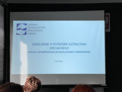 Kształcenie specjalne - pomiędzy prawem a praktyką